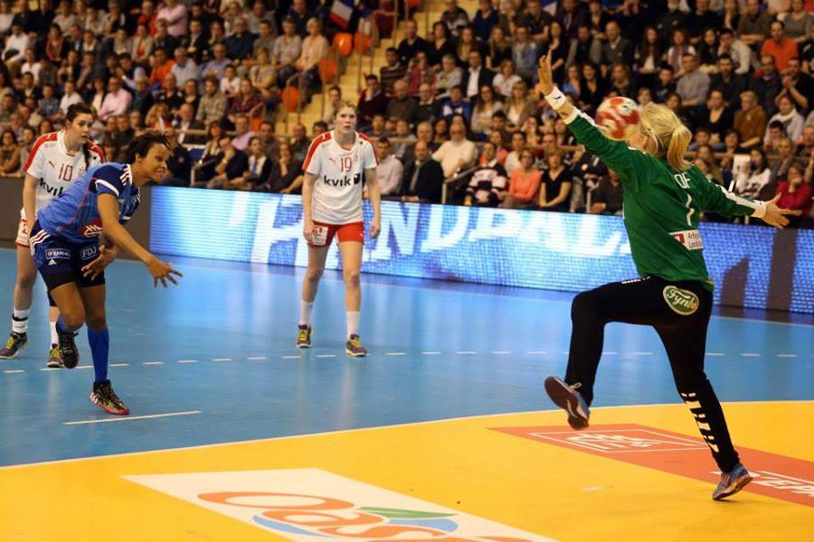 Fédération Française de Handball